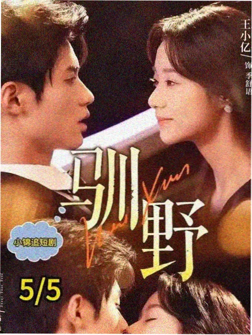 回声公路 的大片在线观看样本详情图